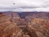 The Skywalk glass bridge is 2‐hour drive from Las Vegas, NV.