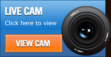 Live Cam